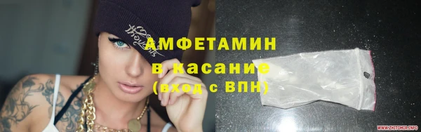 прущие грибы Абинск