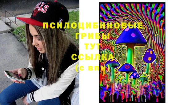 бошки Абдулино