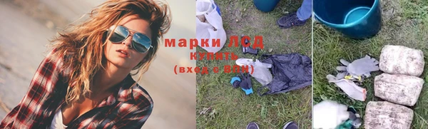 прущие грибы Алзамай