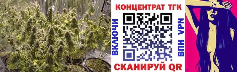 купить  цена  сайты даркнета формула  ТГК концентрат  Искитим 