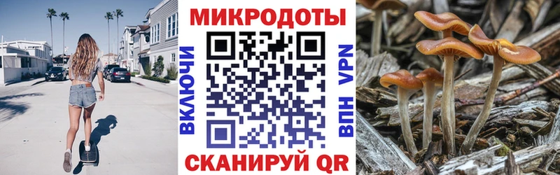 Галлюциногенные грибы Psilocybe  Искитим 