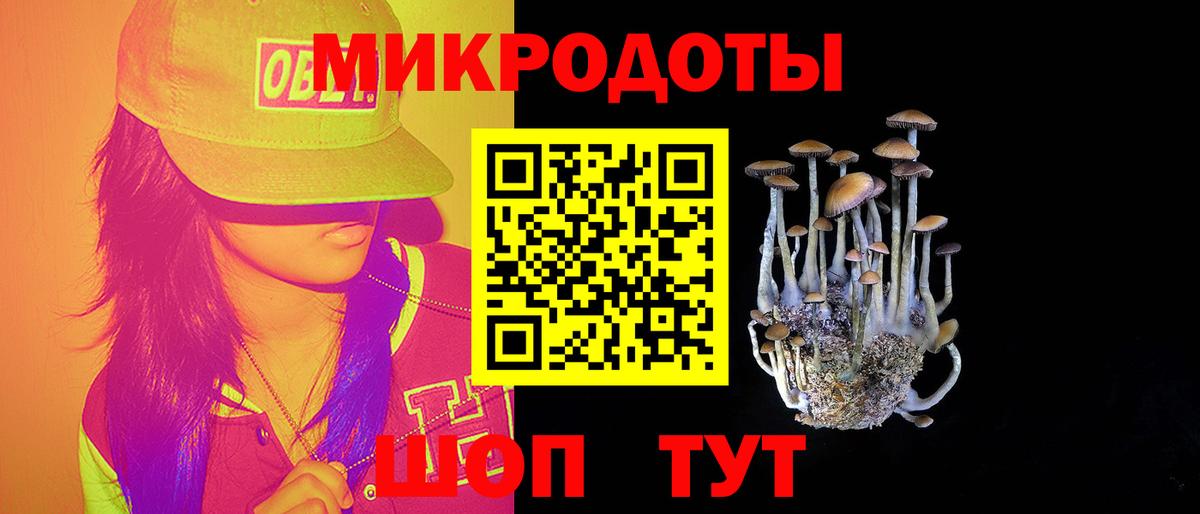 Искитим  Псилоцибиновые грибы мухоморы  Галлюциногенные грибы мицелий  Вход с VPN 